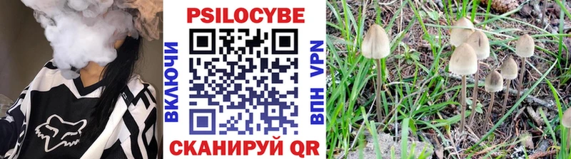 Галлюциногенные грибы прущие грибы  мега рабочий сайт  Хвалынск 